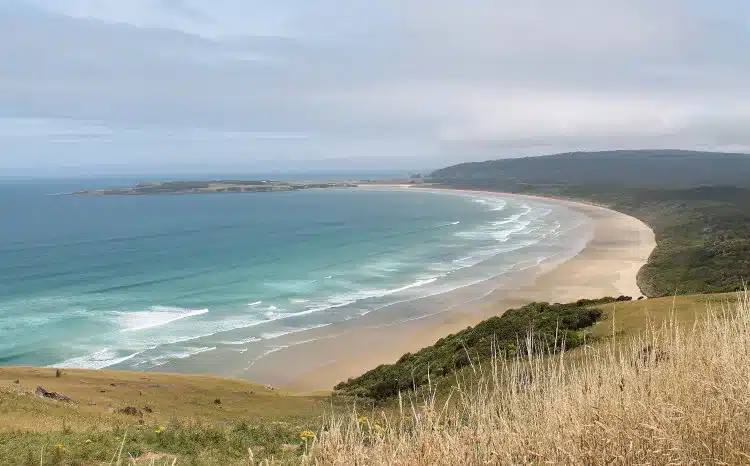 Catlins cost line in. New Zealand